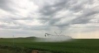 sptoeien of regen