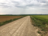 De weg