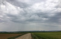 De weg
