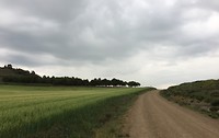 62656E16-607E-4FF8-8FBC-044C9716C77B