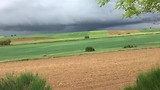 Koekoek