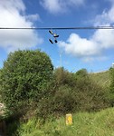 camino fun