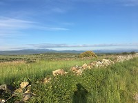 vieuw
