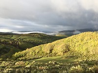 Bergen