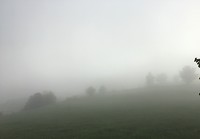 6FE14BFA-8DB8-4C76-BF71-0F372E007F6A