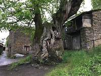 gehucht