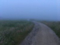 Mist en natte lens