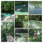 Kelly park