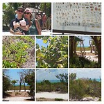 Wandeling
