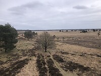 13BB2319-3A9D-4B62-8E3B-D95194B86B24