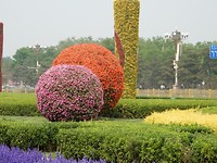 DSCN0261
