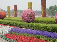 DSCN0262