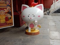 DSCN0276