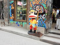 DSCN0293