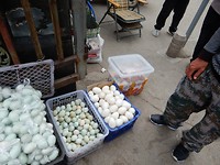 DSCN0313