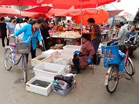 DSCN0314