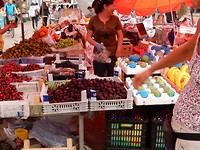 DSCN0316