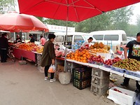 DSCN0319