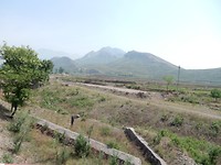 DSCN0332