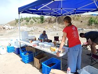 DSCN0336