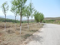 DSCN0337