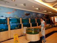 DSCN0350