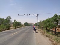 DSC01624