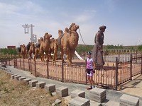 DSC01627