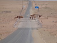 DSC01654
