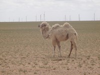 DSC01661