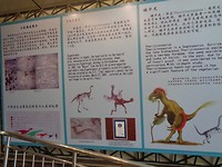 DSC01702