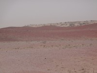 DSC01770