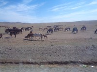 DSC01806