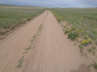 DSC02046