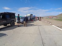 DSC02192
