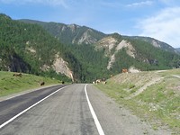 DSC02207