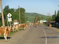 DSC02278