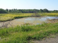 DSC02296