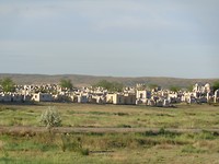 DSC02337