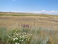 DSC02357