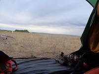 DSC02367
