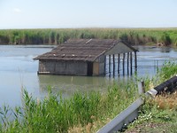DSC02374