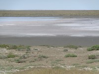 DSC02375