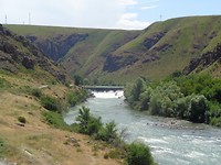 DSC02394