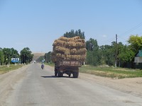 DSC02398