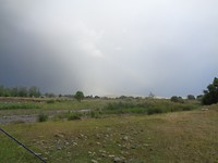 DSC02403