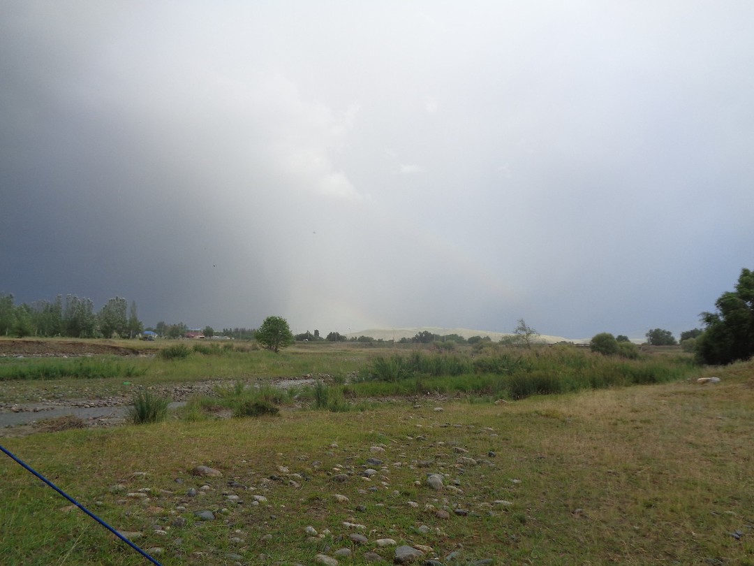 DSC02403