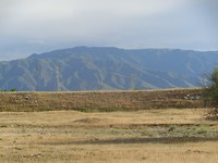 DSC02409