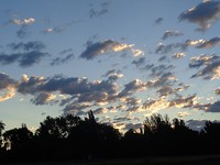 DSC02410