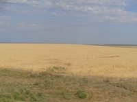 DSC02433
